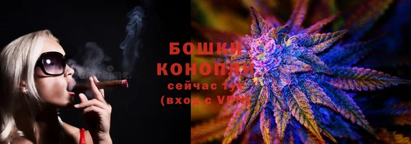 стаф Балахна