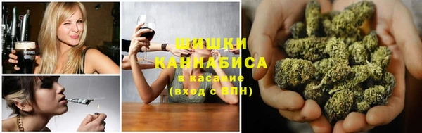 стаф Балахна