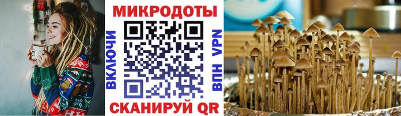 Купить где  Старый Крым  Псилоцибиновые грибы Psilocybe 